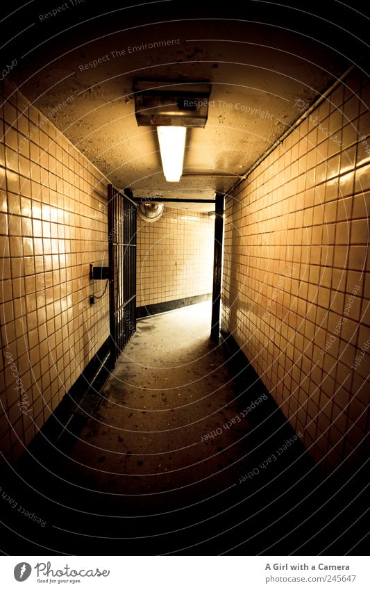below 125th Harlem USA Tunnel Bauwerk Gebäude Mauer Wand leuchten dreckig dunkel glänzend hässlich unten gelb gold schwarz Gang Fliesen u. Kacheln Ausgang
