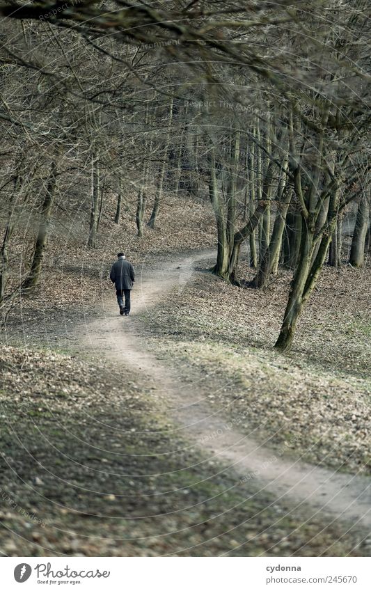 Einsamer Spaziergänger Lifestyle Wohlgefühl Erholung ruhig Ausflug Ferne Mensch Männlicher Senior Mann Umwelt Natur Landschaft Baum Park Wald Einsamkeit