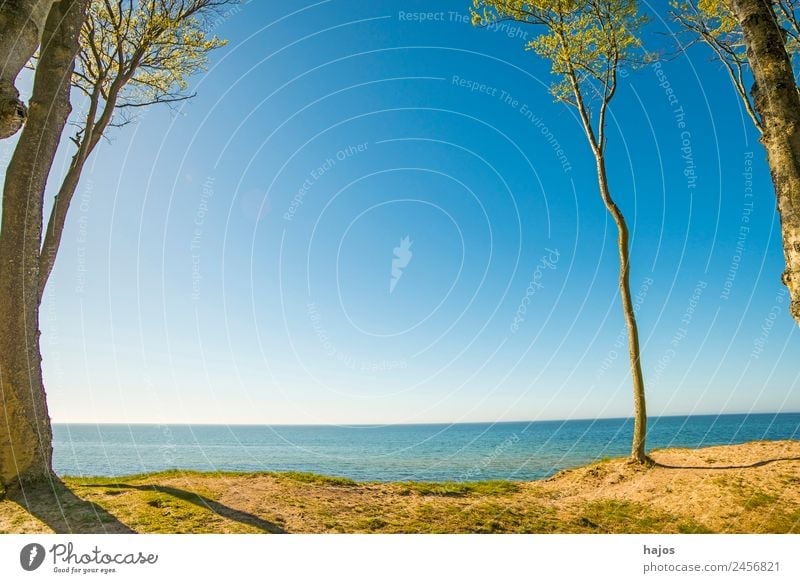 Ostseeküste in Polen Strand Natur Tourismus Osteeküste Dünen Bäume Himmel blau Sand wasser schön wi einsam Paradis karibisch Farbfoto Außenaufnahme Menschenleer