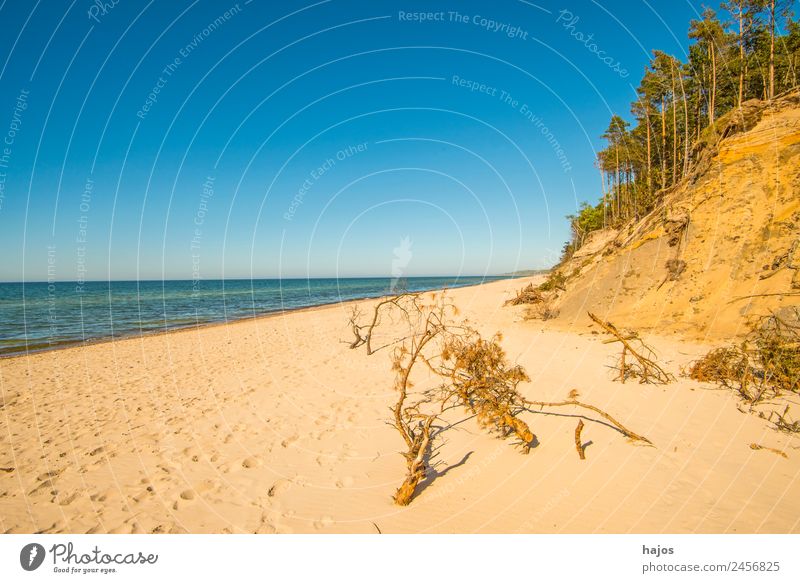 Ostseestrand in Polen Ferien & Urlaub & Reisen Strand Sand Bucht Riff Meer wild blau gelb einsam karibisch Stranddüne Wald Blauer Himmel natürlich Baltikum