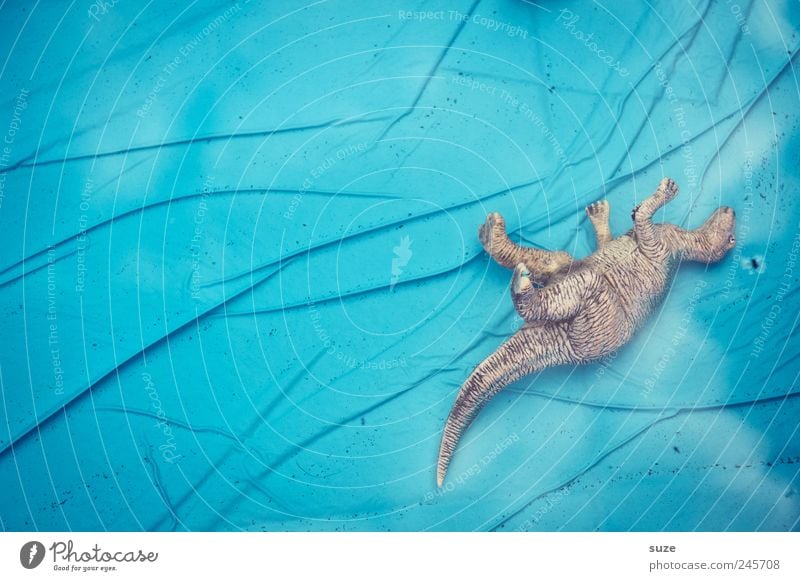 Poolbaropfer Freude Sommer Schwimmbad Wasser Tier Spielzeug Kunststoff Linie beobachten liegen warten lustig nass blau gefährlich Dinosaurier hell-blau Gummi