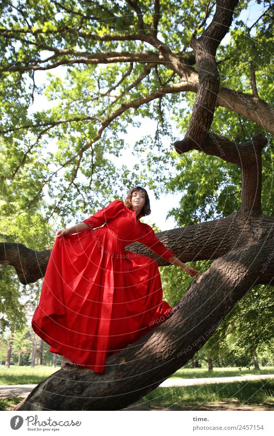 Ulreka feminin Frau Erwachsene 1 Mensch Schönes Wetter Baum Park Dresden Kleid brünett langhaarig beobachten Bewegung festhalten Blick stehen frei schön