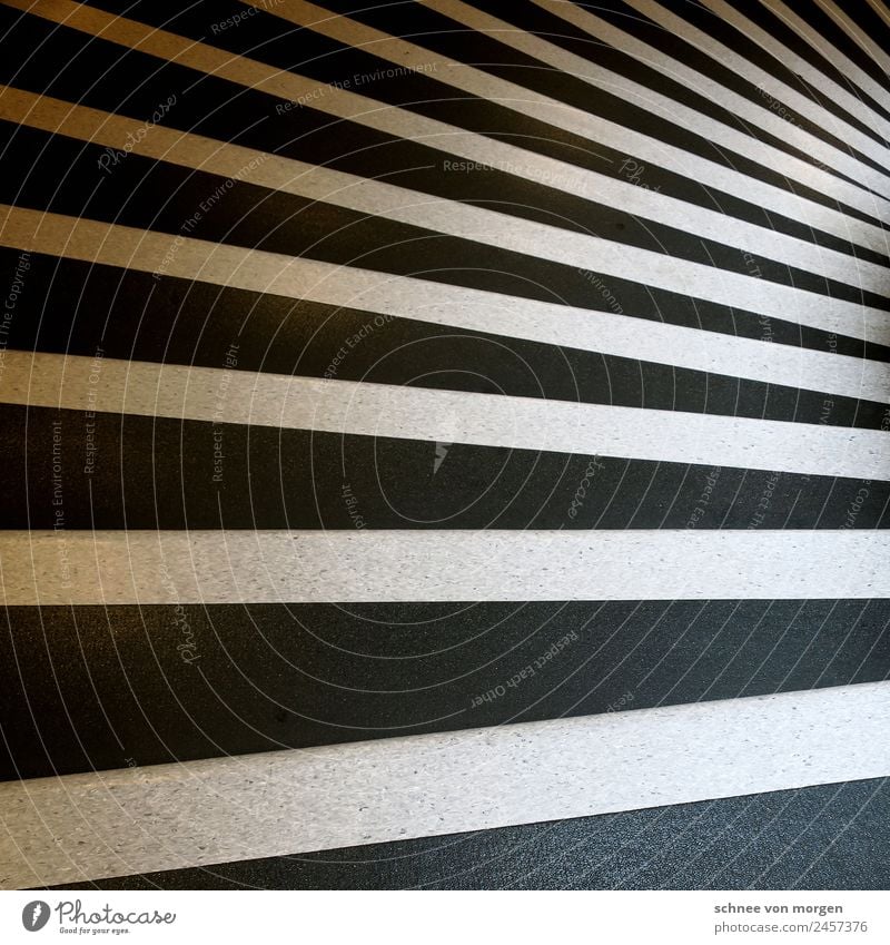 Lauf Beton laufen historisch schwarz weiß Todesangst "Treppe rom Stufen Höhe Muster" Schwarzweißfoto Licht Schatten Kontrast Silhouette Vogelperspektive