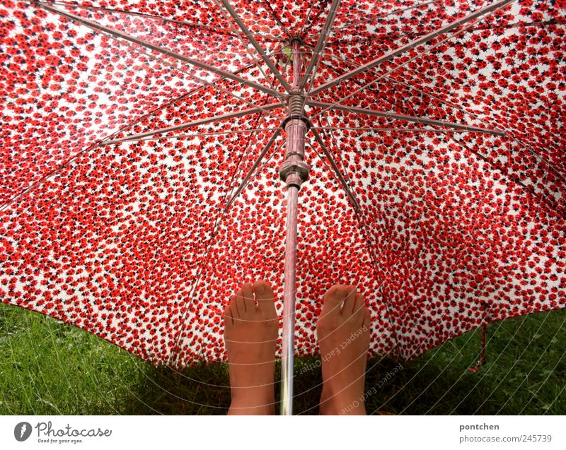 Humor. Frau hält Füße unter rot gemustertem Regenschirm Fuß Accessoire trendy Marienkäfer grün Gras Schutz Fußpilz Klimawandel Farbfoto Außenaufnahme Muster Tag