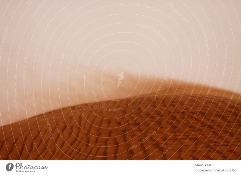 Pustekuchen Landschaft Sand Wind Sturm Wellen Wüste Sahara Afrika Menschenleer Linie groß heiß trocken Einsamkeit bedrohlich Umwelt wehen Sandsturm Düne