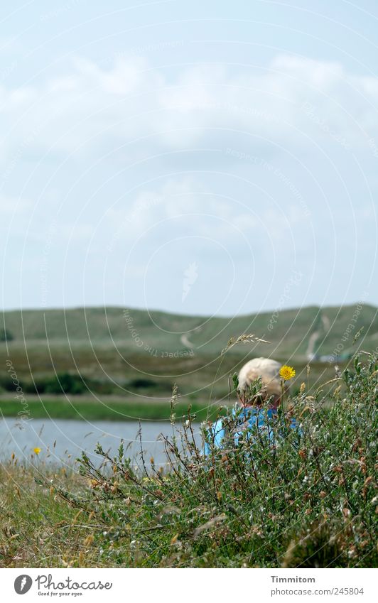 Das aufnehmen und bewahren Ferien & Urlaub & Reisen Sommer Frau Erwachsene 1 Mensch Natur Landschaft Pflanze Wasser Himmel Gras Küste See Stranddüne Dänemark
