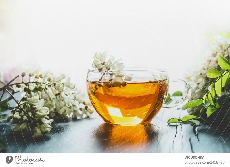 Akazien Kräutertee in Glastasse Lebensmittel Getränk trinken Heißgetränk Tee Stil Design Gesundheit Alternativmedizin Gesunde Ernährung Natur Pflanze gelb