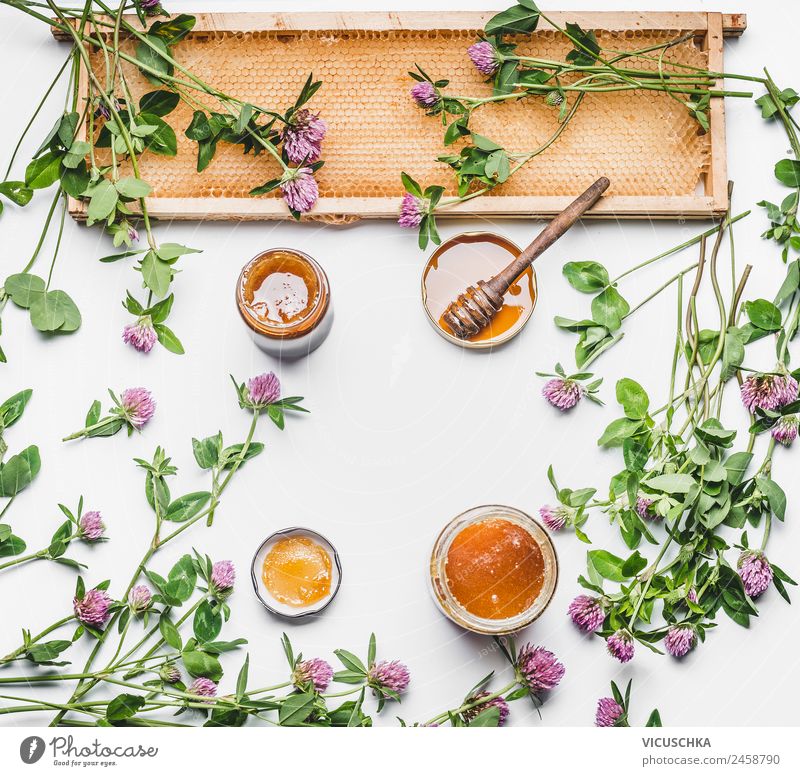 Gläser mit Honig, Wabe und Schöpflöffel Lebensmittel Ernährung Frühstück Geschirr Glas Stil Design Gesundheit Gesunde Ernährung Natur Blume Wildpflanze