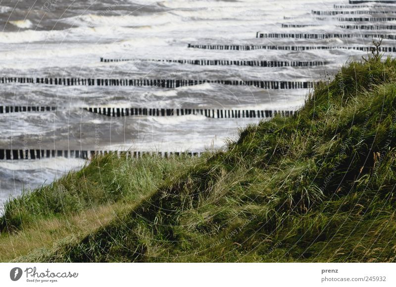 schwere see Natur Landschaft Pflanze Klima Wetter Gras Wildpflanze Wellen Küste Ostsee Wasser blau grün Darß Ahrenshoop Holzpfahl Sturm Hügel Meer Farbfoto