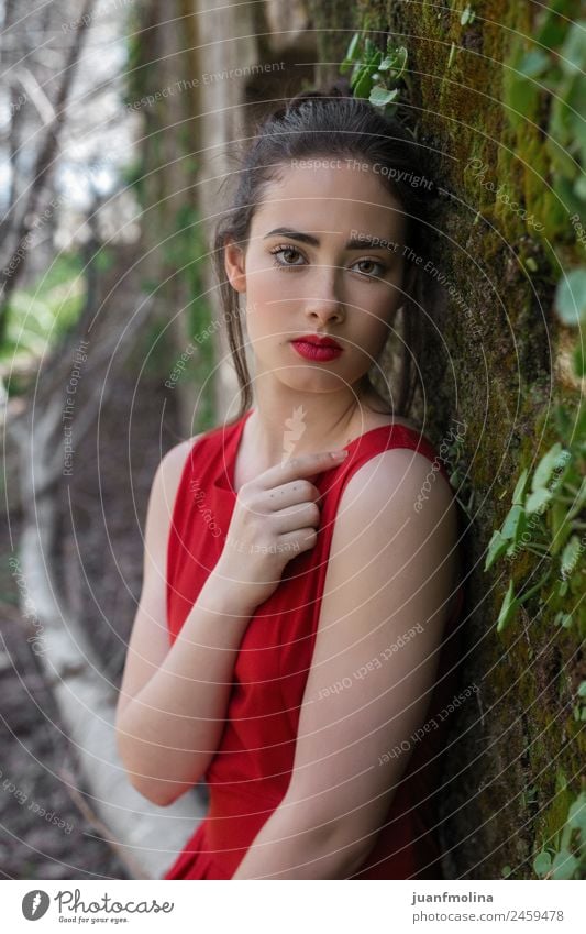 Porträt eines Mädchens in rotem Kleid elegant schön Gesicht Schminke Sommer Mensch Junge Frau Jugendliche Erwachsene 18-30 Jahre Natur Garten Mauer Wand Mode
