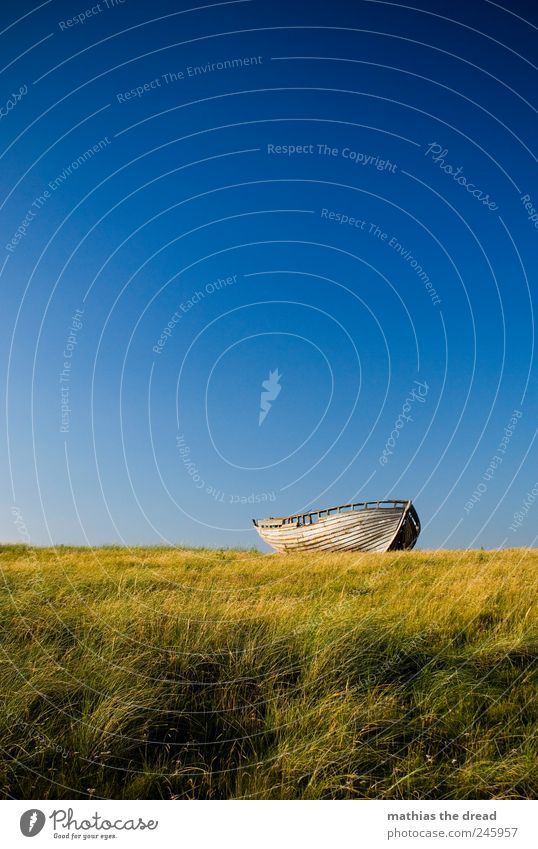 DÄNEMARK - XIII Umwelt Natur Landschaft Wolkenloser Himmel Horizont Sommer Schönes Wetter Wind Pflanze Gras Moos Wiese Schifffahrt Fischerboot alt