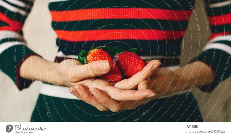 Die Frau hält Erdbeeren in den Händen. Frucht Essen Frühstück Vegetarische Ernährung Diät Mensch Erwachsene Hand Natur Blatt Kleid frisch natürlich saftig grün