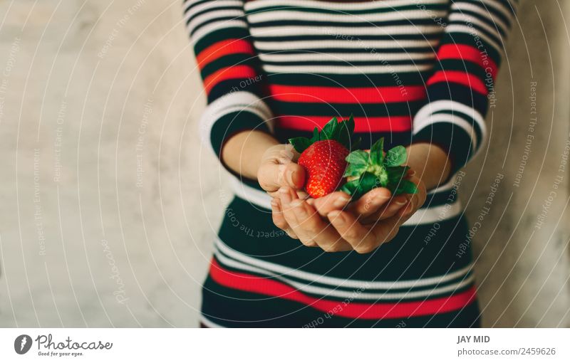 Die Frau hält Erdbeeren in den Händen. Lebensmittel Frucht Essen Frühstück Bioprodukte Vegetarische Ernährung Diät Mensch feminin Erwachsene Hand 1 Natur Blatt
