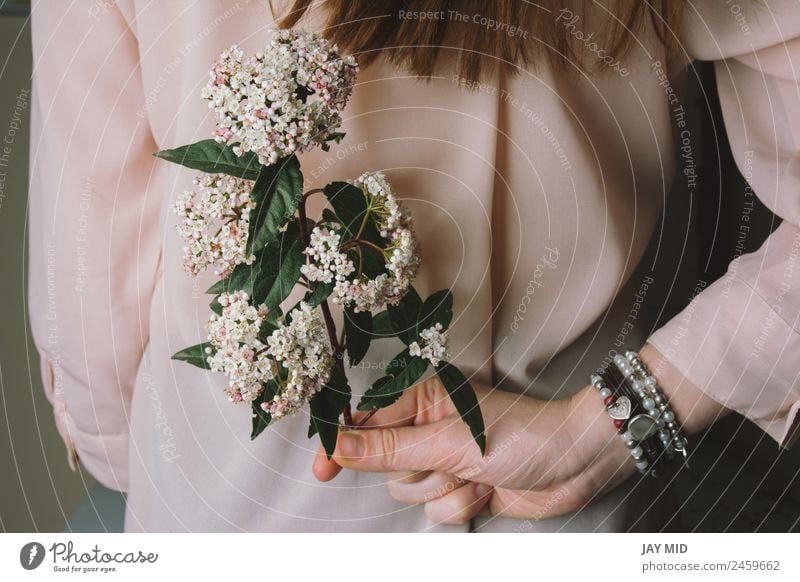 Hände einer Frau mit Blumenstrauß elegant Stil Dekoration & Verzierung Erwachsene Mutter Hand frisch natürlich rosa Überraschung Farbe jung geblümt abstützen
