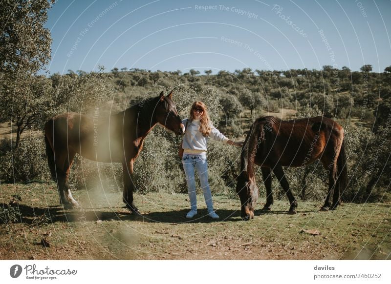 Glückliches blondes Mädchen, das zwei Pferde in der Natur pflegt. Lifestyle Freizeit & Hobby Mensch Junge Frau Jugendliche Erwachsene 1 30-45 Jahre Landschaft