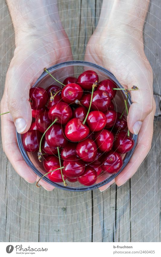 eine Schüssel voller Kirschen Lebensmittel Frucht Picknick Bioprodukte Schalen & Schüsseln Mann Erwachsene Hand 30-45 Jahre festhalten rot genießen Gesundheit