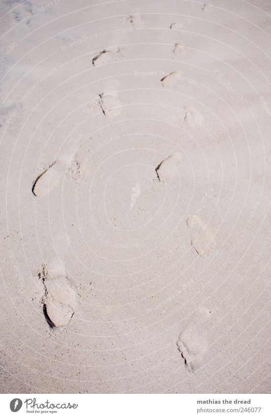 DÄNEMARK - XV Sand Sommer Schönes Wetter Strand Wüste schön Fußspur laufen Spaziergang Strandspaziergang Paar 2 eingedrückt Sonnenbad Sommerurlaub Erholung