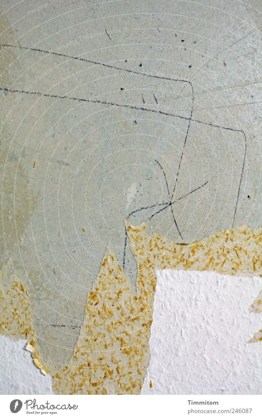 Kleine Entdeckungen (IV): Des Baumeisters geheime Botschaft Häusliches Leben Renovieren Tapete Mauer Wand Zeichen Linie authentisch grau weiß achtsam Neugier