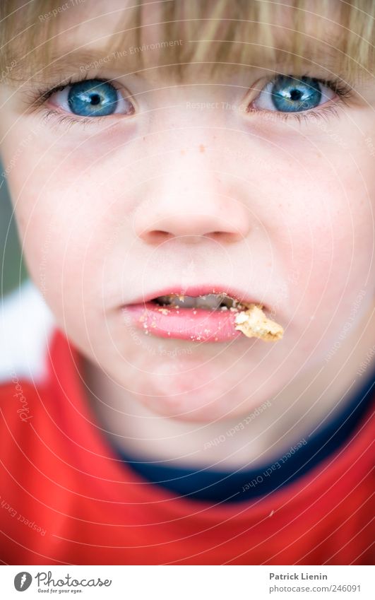 Krümelmonster Lebensmittel Ernährung Essen elegant schön Haare & Frisuren Gesicht Kind Mensch Kleinkind Junge Jugendliche Mund 1 3-8 Jahre Kindheit träumen
