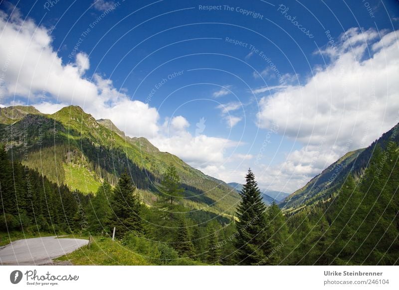 Aufatmen Umwelt Natur Landschaft Pflanze Himmel Wolken Sonnenlicht Sommer Schönes Wetter Baum Gras Sträucher Wald Hügel Felsen Alpen Berge u. Gebirge Sölkpass