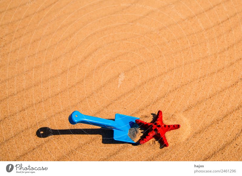 Schaufel und Seestern am Strand Freude Erholung Ferien & Urlaub & Reisen Sommer Kind Sand gelb Tourismus Spielzeug Sandstrand rot blau spielen sandeln