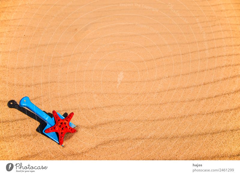Schaufel und Seestern am Strand Freude Erholung Ferien & Urlaub & Reisen Sommer Kind Sand gelb Tourismus blau Sandstrand rot spielen sandeln Sommerferien