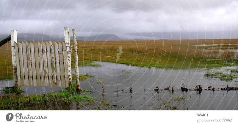 Südisland Island schlechtes Wetter Zaun Stacheldraht Wolken Wiese grün Europa Landschaft Wasser