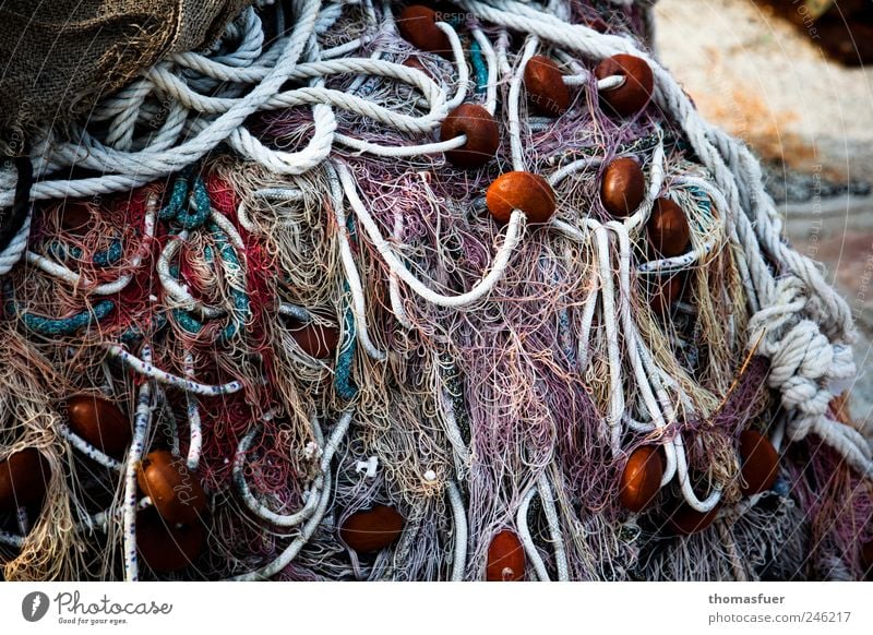 das Netzwerk kolabiert Sommer Fischereiwirtschaft Fischernetz Fischereihafen Seil Schönes Wetter Hafen mehrfarbig Ordnung chaotisch Ordnungsliebe Außenaufnahme