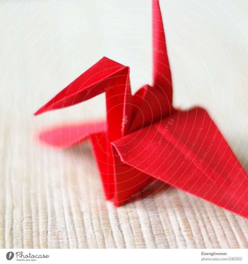 Kranich Tier 1 ästhetisch eckig hell rot Origami Kunsthandwerk Tragfläche Schnabel Papier papierkranich Japanisch langlebigkeit Basteln Bastelspaß