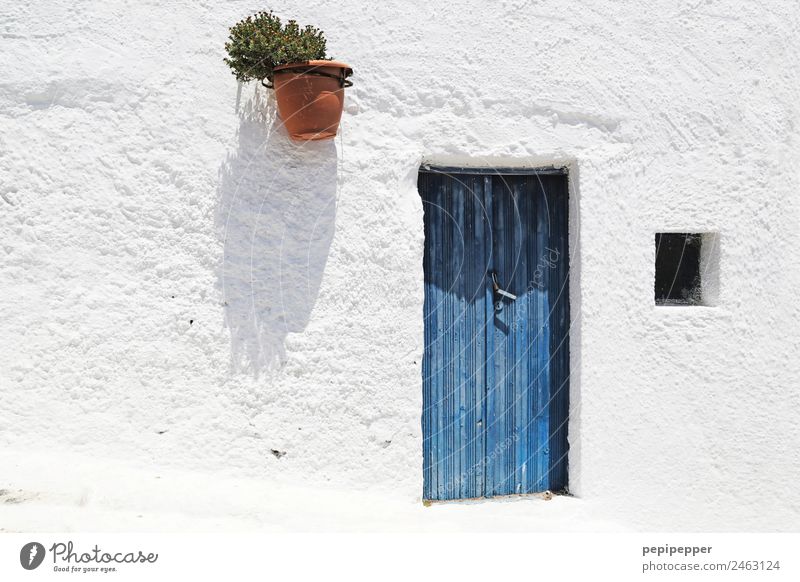 Santorin, Griechenland Ferien & Urlaub & Reisen Tourismus Sightseeing Sommer Häusliches Leben Wohnung Haus Tür Pflanze Hauptstadt Hafenstadt Mauer Wand Fenster