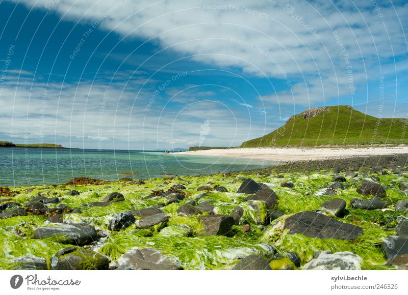Schottland III Umwelt Natur Landschaft Sand Wasser Himmel Wolken Sommer Klima Schönes Wetter Pflanze Hügel Berge u. Gebirge Küste Strand Bucht Meer blau grün