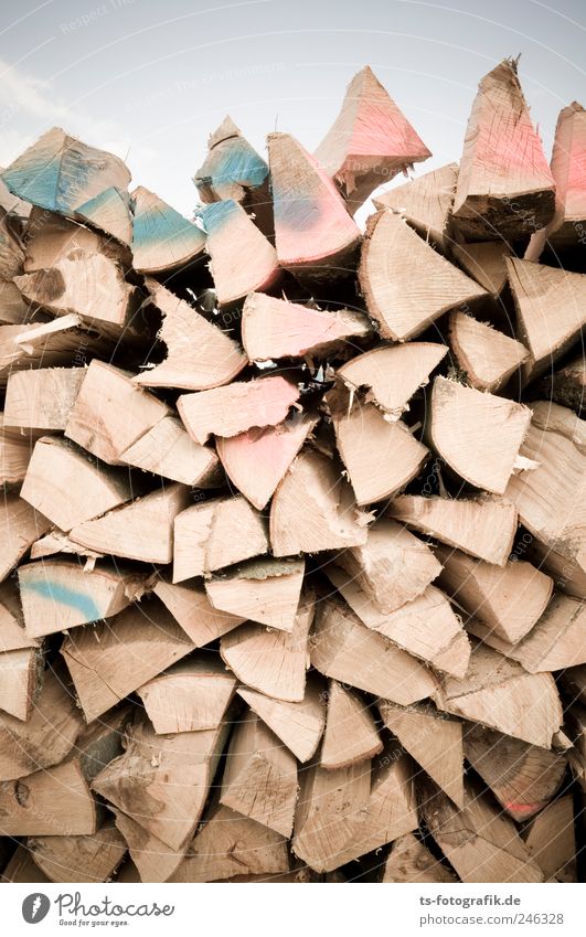 Spalter! Landwirtschaft Forstwirtschaft Energiewirtschaft Umwelt Baum Holz Graffiti braun Brennholz Scheiterhaufen gefallen Ofenholz aufschichten Brennstoff