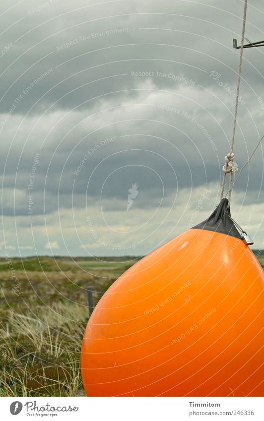 Zeichen + Symbole: Das orangefarbene Trumm Ferien & Urlaub & Reisen Ausflug Sommer Sommerurlaub Umwelt Natur Landschaft Wolken schlechtes Wetter Gras Dänemark