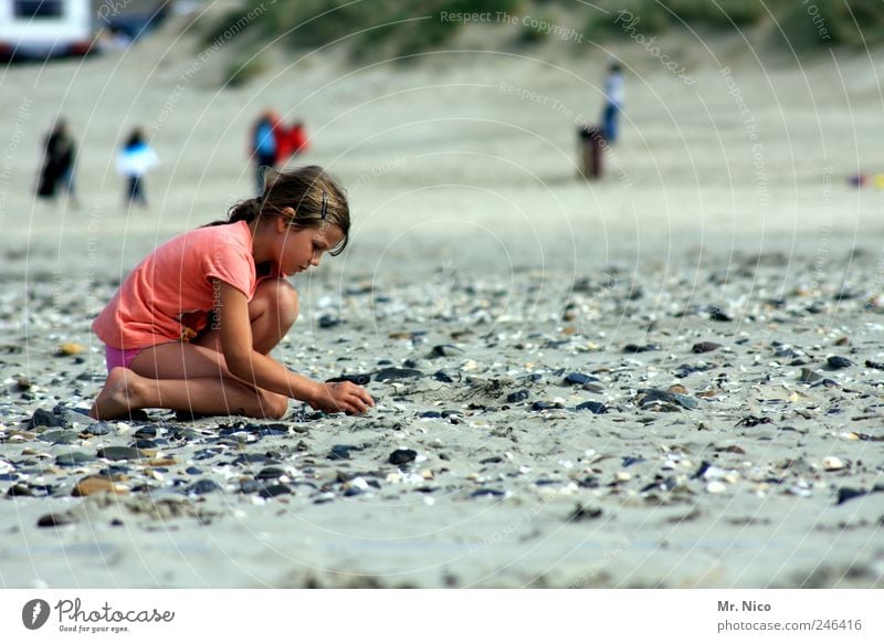 entdecke deine welt Sommer Sommerurlaub Meer Mädchen Umwelt Natur Sand Klima Wetter Küste Nordsee Insel berühren knien Strandgut Muschel Suche finden Sammler