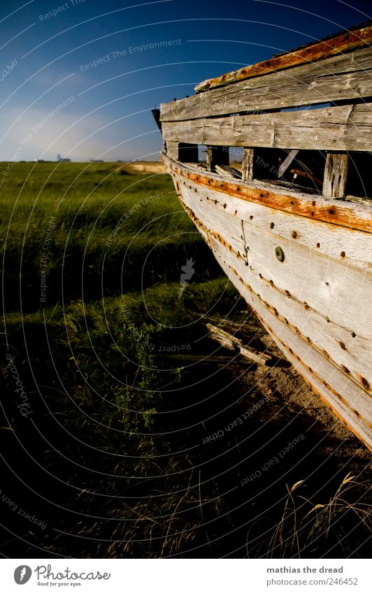 DÄNEMARK XVII Umwelt Natur Landschaft Himmel Wolken Horizont Sommer Schönes Wetter Pflanze Gras Sträucher Wiese Schifffahrt Fischerboot alt außergewöhnlich