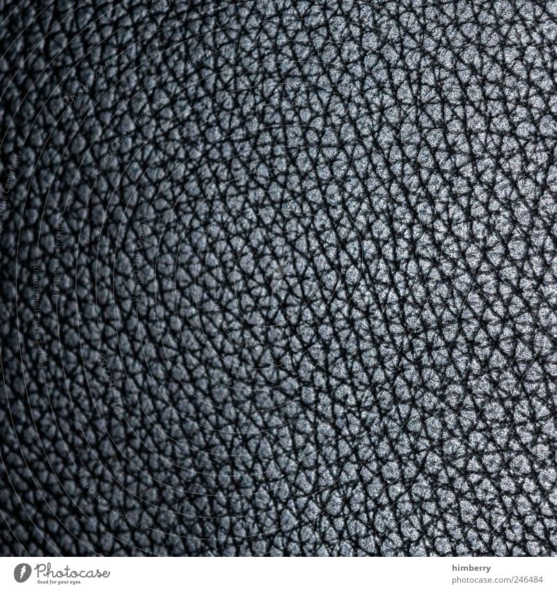 elefantenhaut einrichten Dekoration & Verzierung Möbel Leder dick dunkel einfach schwarz Design Kunstleder Wildleder Stoff Textilien Strukturen & Formen