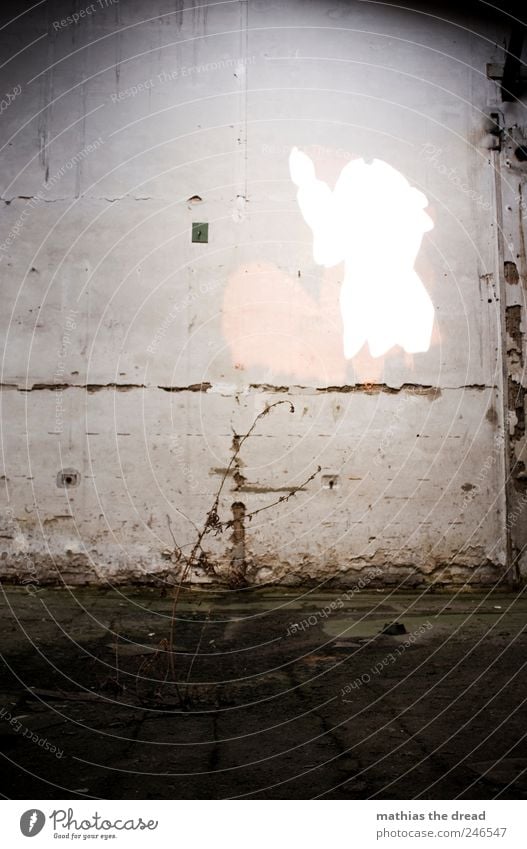 TROSTLOS Pflanze Sträucher Menschenleer Industrieanlage Fabrik Ruine Bauwerk Gebäude Mauer Wand alt außergewöhnlich schön trashig trist Endzeitstimmung Idylle