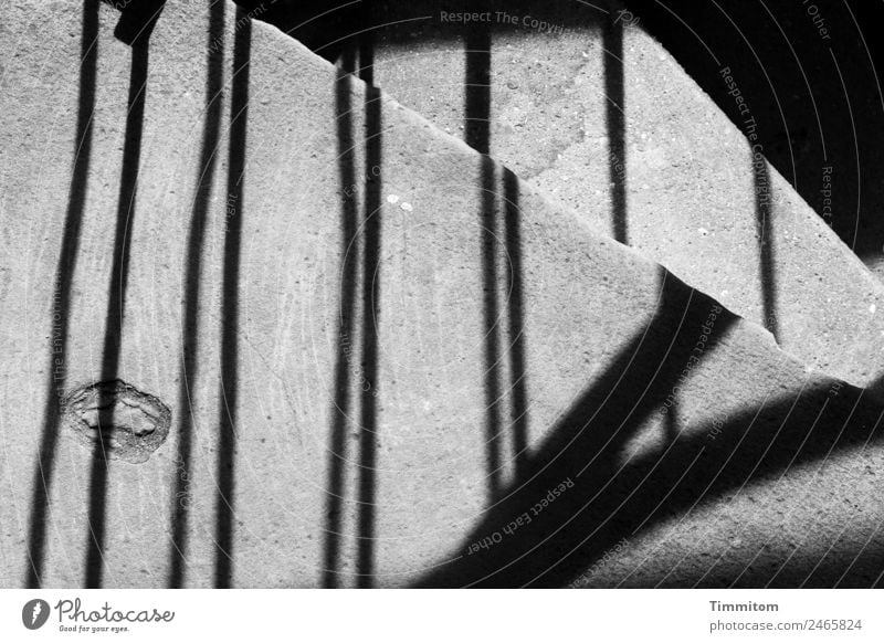 steinig | aber lohnend Stein Beton ästhetisch dunkel schwarz Treppe Geländer Schatten steil eng Schwarzweißfoto Außenaufnahme Menschenleer Tag Licht Kontrast