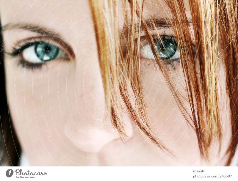 magnetic Mensch feminin Frau Erwachsene Haut Gesicht Auge 1 Haare & Frisuren blau Blick Blick nach vorn Blick in die Kamera rothaarig intensiv magnetisch