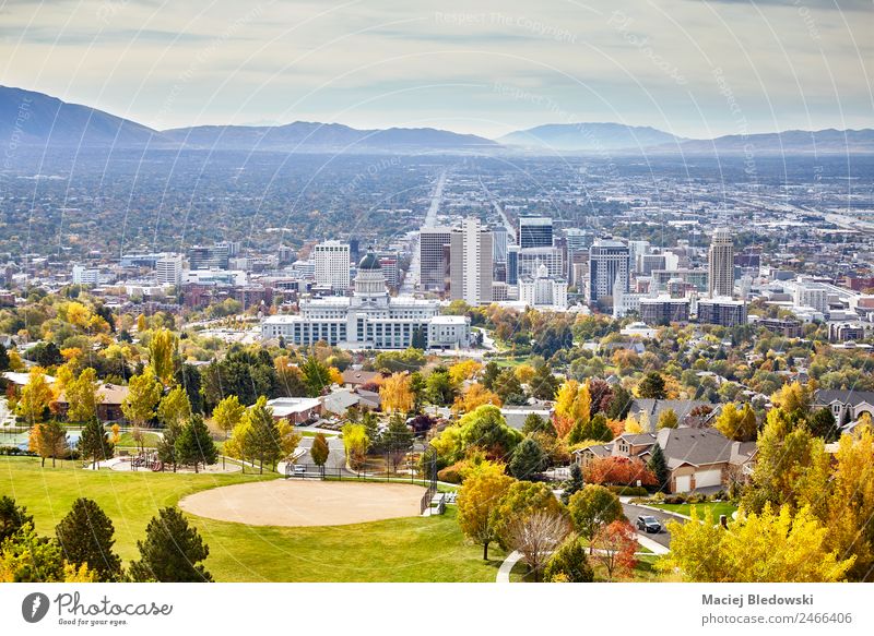 Luftaufnahme der Innenstadt von Salt Lake City im Herbst. Ferien & Urlaub & Reisen Sightseeing Haus Landschaft Park Stadt Stadtzentrum Skyline Gebäude Straße