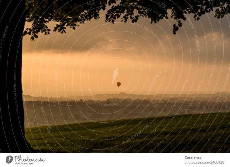 700 X in die Freiheit entlassen|Baumsilhouette im Vordergrund, am Abendhimmel schwebt ein roter Heißluftballon Landschaft Pflanze Himmel Wolken Horizont