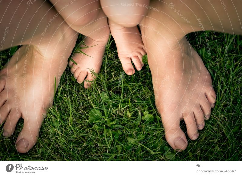 Blick in die Zukunft Gesundheit Wohlgefühl Garten Mensch Baby Kleinkind Eltern Erwachsene Mutter Vater Beine Fuß 2 1-3 Jahre Sommer Gras Geborgenheit berühren