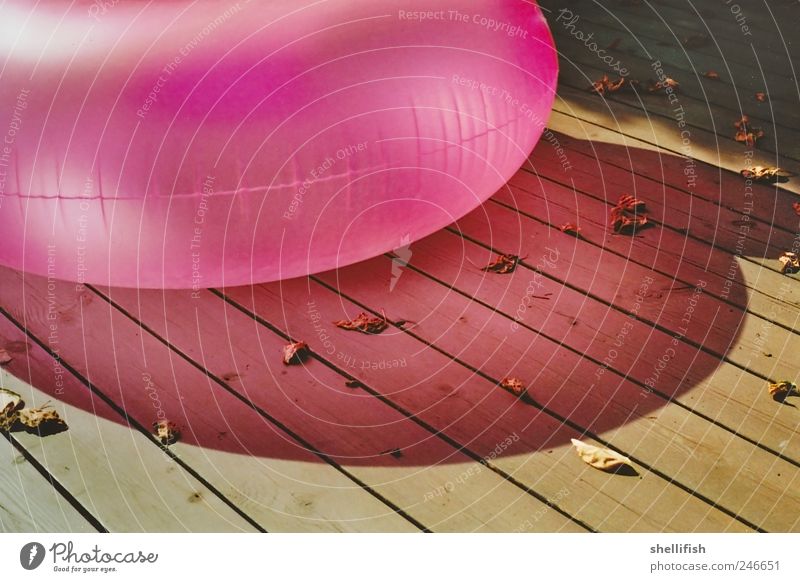 Rosa Luftwurst Luftballon Holz ästhetisch Idylle ruhig rosa Schwimmen & Baden Steg aufblasbar Holzbrett Blatt Sommer Erholung caustics Schattenspiel mehrfarbig