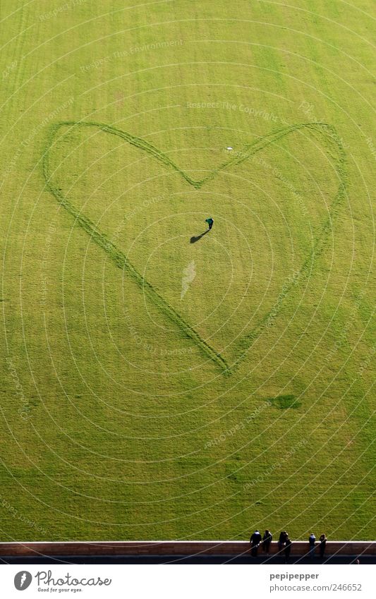 anerkennung nach liebe Valentinstag Muttertag Fußballplatz Mensch maskulin Mann Erwachsene 1 5 Künstler Sommer Gras Wiese Mauer Wand Herz Brunft stehen warten