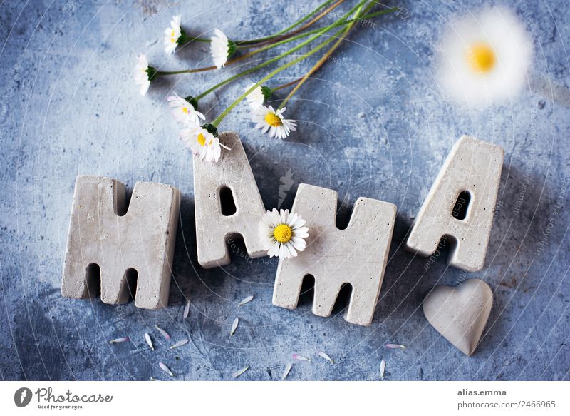 Muttertagsgrüße aus Betonbuchstaben Mai Blume Postkarte danke schön danken Wort Buchstaben selbstgemacht heimwerken Familie & Verwandtschaft Feiertag blau