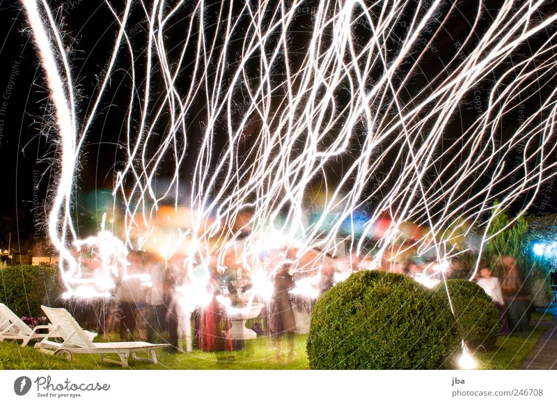 Abflug Mensch Menschengruppe Sträucher Park Wiese Kleid Anzug Kunststoff Feste & Feiern fliegen glänzend leuchten träumen elegant frei Fröhlichkeit hell Glück