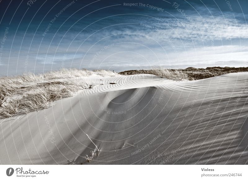 Spiekeroog | ...velvety Umwelt Natur Sand Himmel Strand Nordsee entdecken Erholung Insel Düne Farbfoto Außenaufnahme Textfreiraum unten Weitwinkel