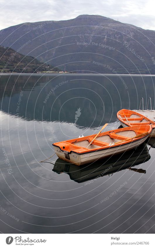 Ruhe am Fjord Freizeit & Hobby Ferien & Urlaub & Reisen Tourismus Berge u. Gebirge Umwelt Natur Landschaft Wasser Sommer Schönes Wetter Ruderboot Erholung