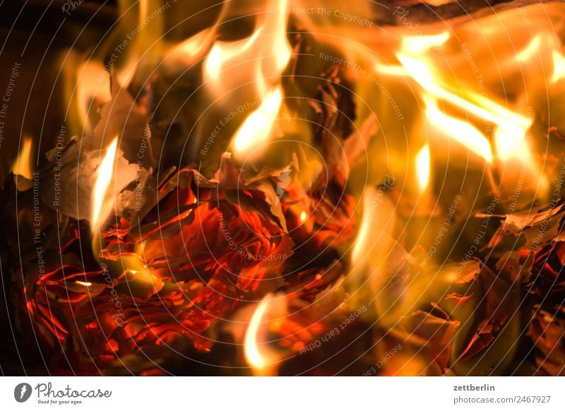 Feuer Brand brennen Flamme Heizung heiß Wärme Brennholz Herd & Backofen Ofenheizung verbrannt Versicherung
