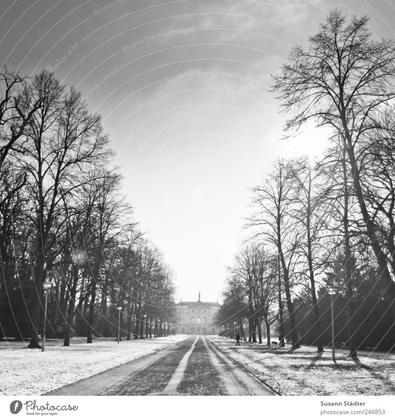 envoy. Winter Schönes Wetter fallen Schnee Fußweg Park großer Garten Dresden Orangerie Palais Sonnenlicht Schatten kalt Einsamkeit Außenaufnahme Menschenleer